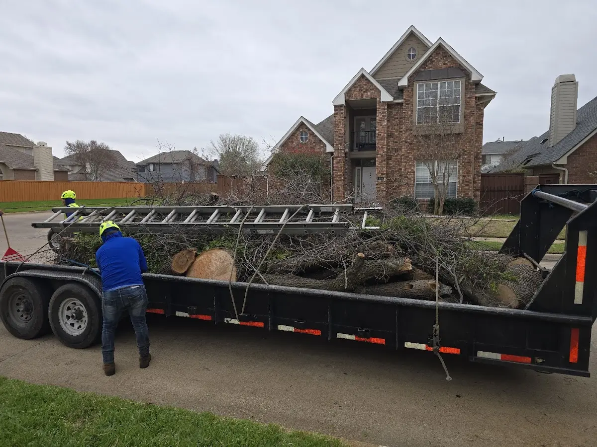 Expert Tree Pest Control with proper safety equipment in Poca